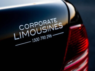 Mercedes S500 Tail Light